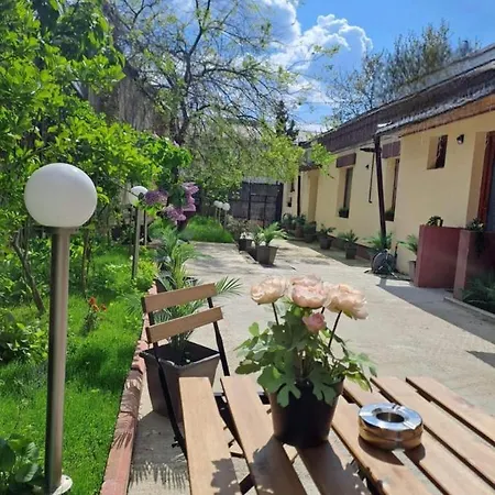 Ambiennt Бухарест