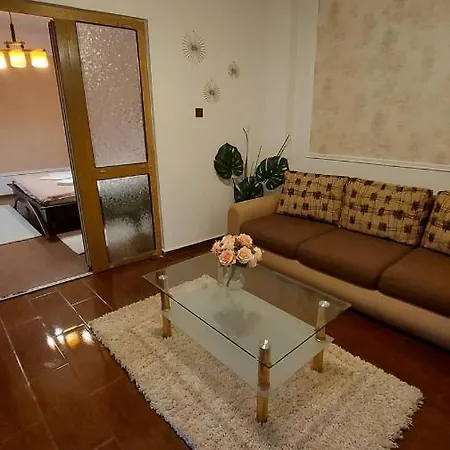 Ambient Apartament Apartment
