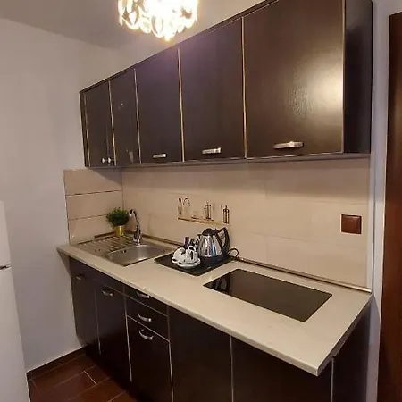 Ambient Apartament