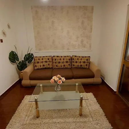 Ambient Apartament *