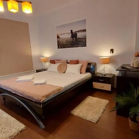 Ambient Apartament *