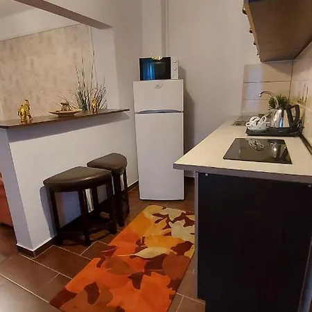 Apartment Ambient Apartament
