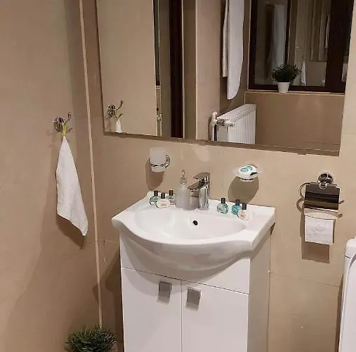 Ambiennt 부쿠레슈티